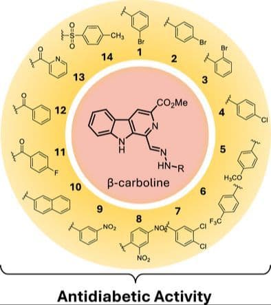 Design and Synthesis of β‐Carboline Hydrazone Hybrids as New α‐Amylase and α‐Glucosidase Inhibitors: Inhibition Kinetics and Molecular Docking Studies