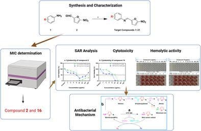 Design and Synthesis of Novel Nitrofurantoin Derivatives as Antibacterial Agents Against Acinetobacter Baumannii