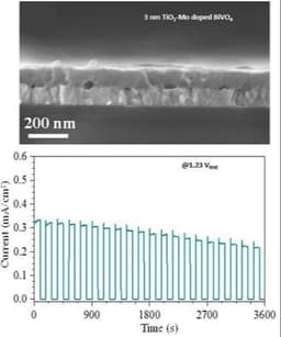 Weak H‐Bonds of Fluorophenyl Synthons Enabling Efficient and Entropically Stabilized Supramolecular Electro‐Optic Dendrimers