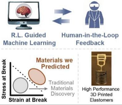 Design of Tough 3D Printable Elastomers with Human‐in‐the‐Loop Reinforcement Learning