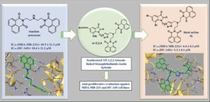 Design, Synthesis, and Antiproliferative and Apoptotic Assessment of Triazole‐Tethered Bisnaphthalimide‐Isatin Hybrids on Triple‐Negative Breast and Prostate Cancers