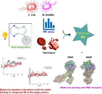 Design, Synthesis, Biological Evaluation, and Molecular Docking of Furopyrazines as Antibacterial Agents