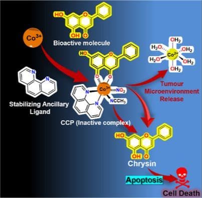 Development of a Tumor Microenvironment‐Responsive Co(III)‐Chrysin Prodrug: Synthesis, Activation Profiling, and In Vitro Antineoplastic Evaluation