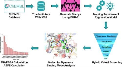 Development of an Integrated Computational Pipeline for PARP‐1 Inhibitor Screening Using Hybrid Virtual Screening and Molecular Dynamics Simulations