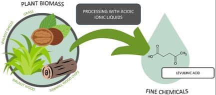 Direct Transformation of Biomass into Levulinic Acid Using Acidic Ionic Liquids: An Example of Sustainable and Efficient Waste Valorization