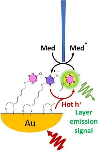 Direct Visualization of Plasmon‐ Induced Hole Injection in Electroactive Luminescent Monolayers on Gold Nanoparticles