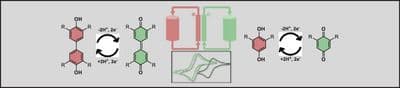 Electrochemical Studies of Benzoquinone, Hydrobenzoquinone, Diphenoquinone and Hydrodiphenoquinone‐Based Compounds