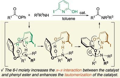 Experimental and Theoretical Mechanistic Study on the 6‐Iodo‐2‐pyridone‐Catalyzed Aminolysis of Esters
