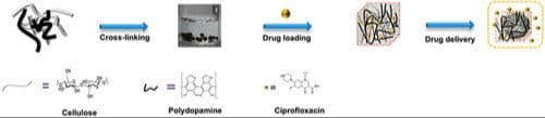 Facile Synthesis of Nano Polydopamine Cellulose Hydrogel Beads for Sustained Release of Ciprofloxacin