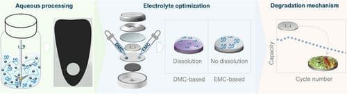 From Fabrication to Failure—Aqueous Processing, Electrolyte Tuning, and Degradation Mechanism Elucidation in Poly(3‐Vinyl‐N‐Methylphenoxazine) Positive Electrodes