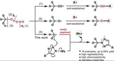 Highly Regioselective Butylation of N‐Sulfonyl‐1,2,3‐triazoles by the Formation of Quaternary Carbon‐Centered C(sp3)─N Bonds