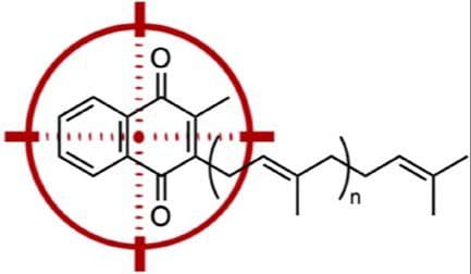 Hijacking the Electron Train: Menaquinone‐Binding Antimicrobial Peptides