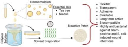 Impregnation of Melaleuca Family Essential Oil Nanoemulsions into Pectin:Polyvinyl Alcohol Patches to Provide an Antibacterial Environment for Infected Wounds