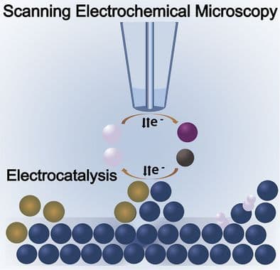 In Situ Elucidation of Reaction Mechanisms in Electrocatalysis Using Scanning Electrochemical Microscopy