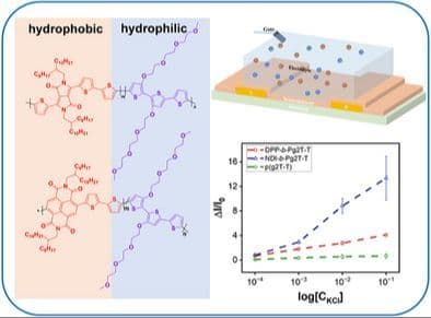 Integrating Hydrophobic and Hydrophilic Building Blocks for High‐Performance Organic Electrochemical Transistors and Biosensing