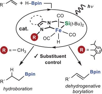 Iron Catalysts with Silyl‐NHC Chelate Ligands: Controlling Factors for Hydroboration vs. Dehydrogenative Borylation of Olefins