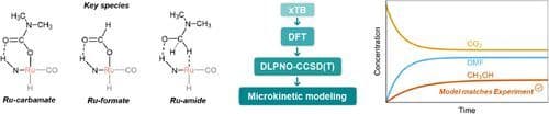 Kinetic Modeling of the Ru‐MACHO‐Catalyzed CO2 Hydrogenation to Methanol