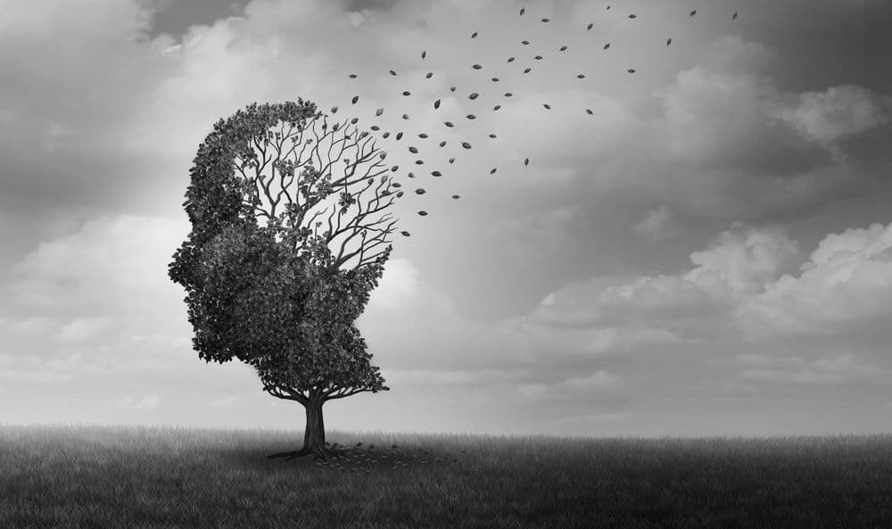 Die Alzheimer-Erkrankung - ein rätselhafter Kriminalfall (Teil II)