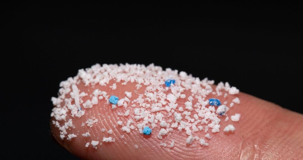 Vom Allheilmittel zum Umweltproblem: Mikroplastik