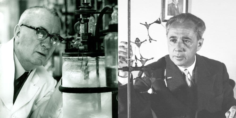 Chemistry overcomes borders and boundaries