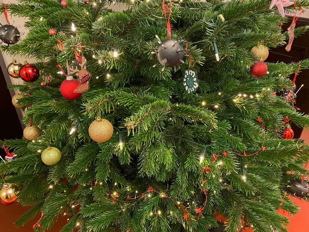 Weihnachtskolloquium des GDCh-Ortsverband Hannover