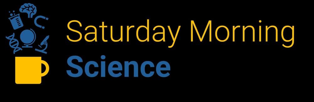 Saturday Morning Science | "Wie wollen wir wählen?"