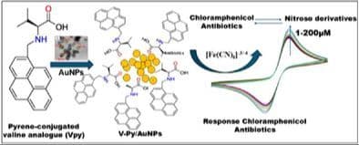 l‐Valine Assisted Pyrene Functionalized Gold Nanoparticles Based Interface for Electrochemical Detection of Chloramphenicol Antibiotics