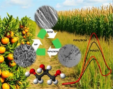 Mandarin Peel‐Derived Carbon‐Supported PtPd Catalysts for the Electro‐Oxidation of Glycerol in Alkaline Medium