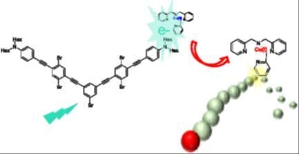 Mechanistic and Physicochemical Insights into the Photoactivation Pathways of a Charge Transfer ATRP Photoinitiator