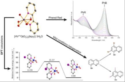 Mechanistic Insights and Catalytic Efficiency of a 2,2′‐Bipyridine–Coordinated Peroxidovanadium Complex as a Haloperoxidase Biomimetic