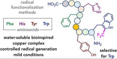 Mild and Selective Trifluoromethylation of Peptides at Tryptophane Residues by a Water‐Soluble Copper Complex with Redox‐Active Ligands