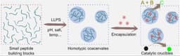 Steady Out‐of‐Equilibrium Chemistry: What? Why? How?