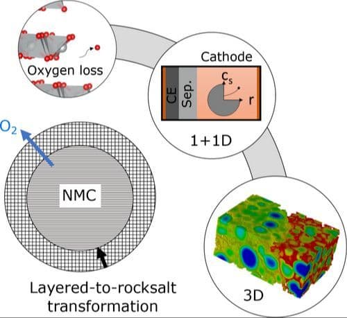 Modeling Oxygen Loss and Phase Transformation in Ni‐Rich Cathode Materials: Impact of Electrode Microstructure