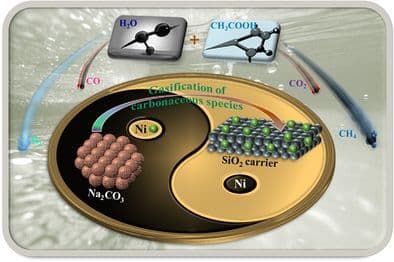Modification of Ni/SiO2 with Na2CO3 to Minimize Coking in Steam Reforming of Acetic Acid Through Enhanced Gasification of Aliphatic Reaction Intermediates