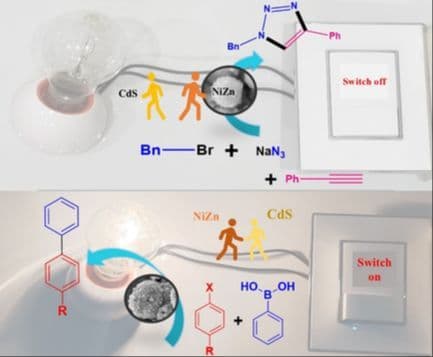 Modulating Catalytic Selectivity via NiZn–CdS Interface for Visible‐Light Mediated Suzuki Cross‐Coupling and Standalone NiZn Alloy for Ambient Synthesis of 1,2,3‐Triazoles