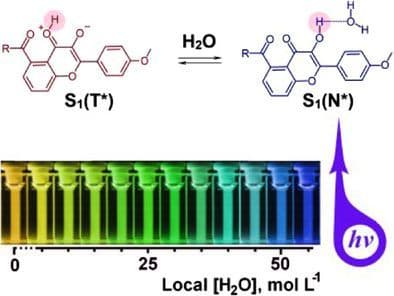 New ESIPT‐Dyes of Record Capacity to Fluorescence Detection of H‐Bond Donor and Acceptor Molecules, Including Local Water Concentration