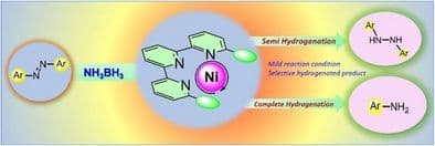 Nickel‐Catalyzed Selective Hydrazoarenes and Aminoarenes Formation from Azoarenes Using Ammonia–Borane