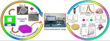 Non‐Enzymatic Electrochemical Sensor for Nanomolar Detection of Propyl Gallate in Food Samples Using (2D/0D) MXene/CdTe QDs Nanocomposites