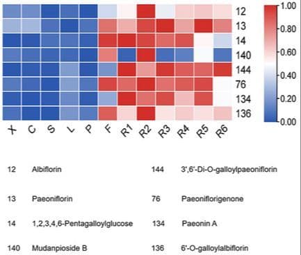 Nontargeted Metabolomic Profiling of a Single Paeonia Lactiflora Plant and its Quality Marker Identification