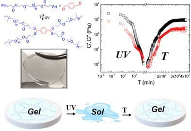 On‐Demand Photodegradable and Thermo‐Reversible, Soft, Transparent Dithioacetal Hydrogels