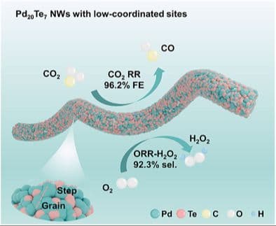 Pd20Te7 Nanowires as an Efficient Multifunctional Catalyst for CO2 and O2 Electroreduction