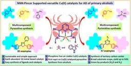 Dual‐Responsive Luminescent Iridium(III) Complex‐Based Sensors for Simultaneous and Selective Detection of Fluoride and Aluminium Ions