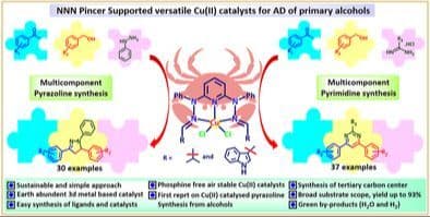 Phosphine‐Free NNN Pincer Supported Cu(II) Catalysts for Sustainable Multi‐Component Synthesis of Pyrazolines and Pyrimidines via Dehydrogenation of Renewable Primary Alcohols