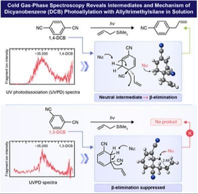 Photoallylation Mechanism of Dicyanobenzenes with Allyltrimethylsilane in Solution Investigated by Cold UV and IR Spectroscopy in the Gas Phase