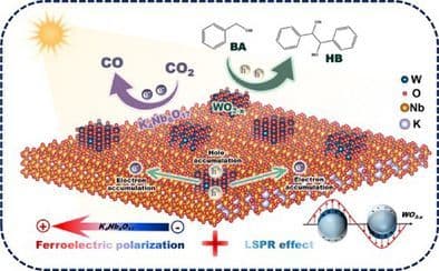 Plasmon‐Ferroelectric Induced Multifield Coupling Effect Accelerates Charge Spatial Separation for Boosting Tandem Photoredox Catalysis