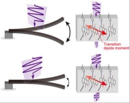 Weak H‐Bonds of Fluorophenyl Synthons Enabling Efficient and Entropically Stabilized Supramolecular Electro‐Optic Dendrimers