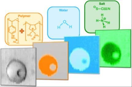 Polymer, Water, and Salt Partitioning in Complex Coacervates Characterized by Femtosecond Stimulated Raman Microscopy