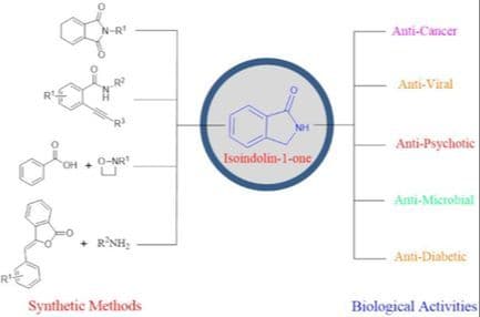 Progress In the Chemistry and Pharmacology of Isoindolin‐1‐One Scaffolds
