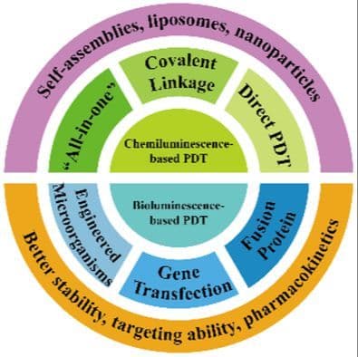 Recent Advances and Constructing Strategies of Chemiluminescence‐ and Bioluminescence‐Based Photodynamic Therapy