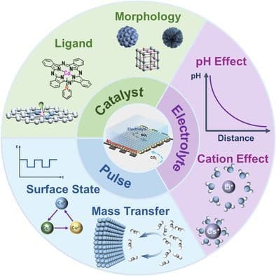 Recent Advances in Microenvironment Engineering for Selective Electrochemical C–N Coupling
